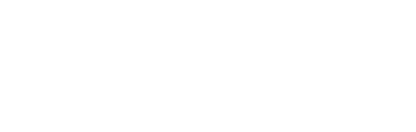 alliancegoiania.com.br